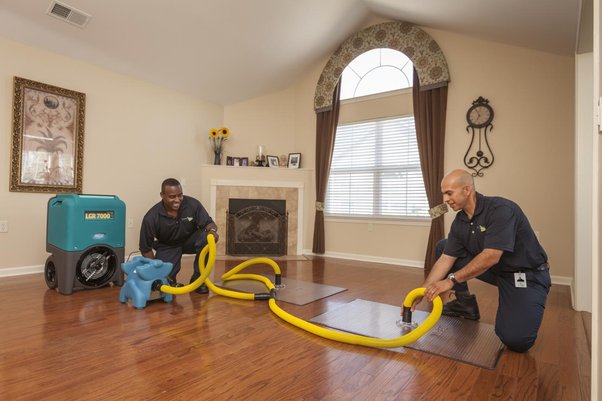 Restorora technicians performing water damage restoration in a Carrollton home